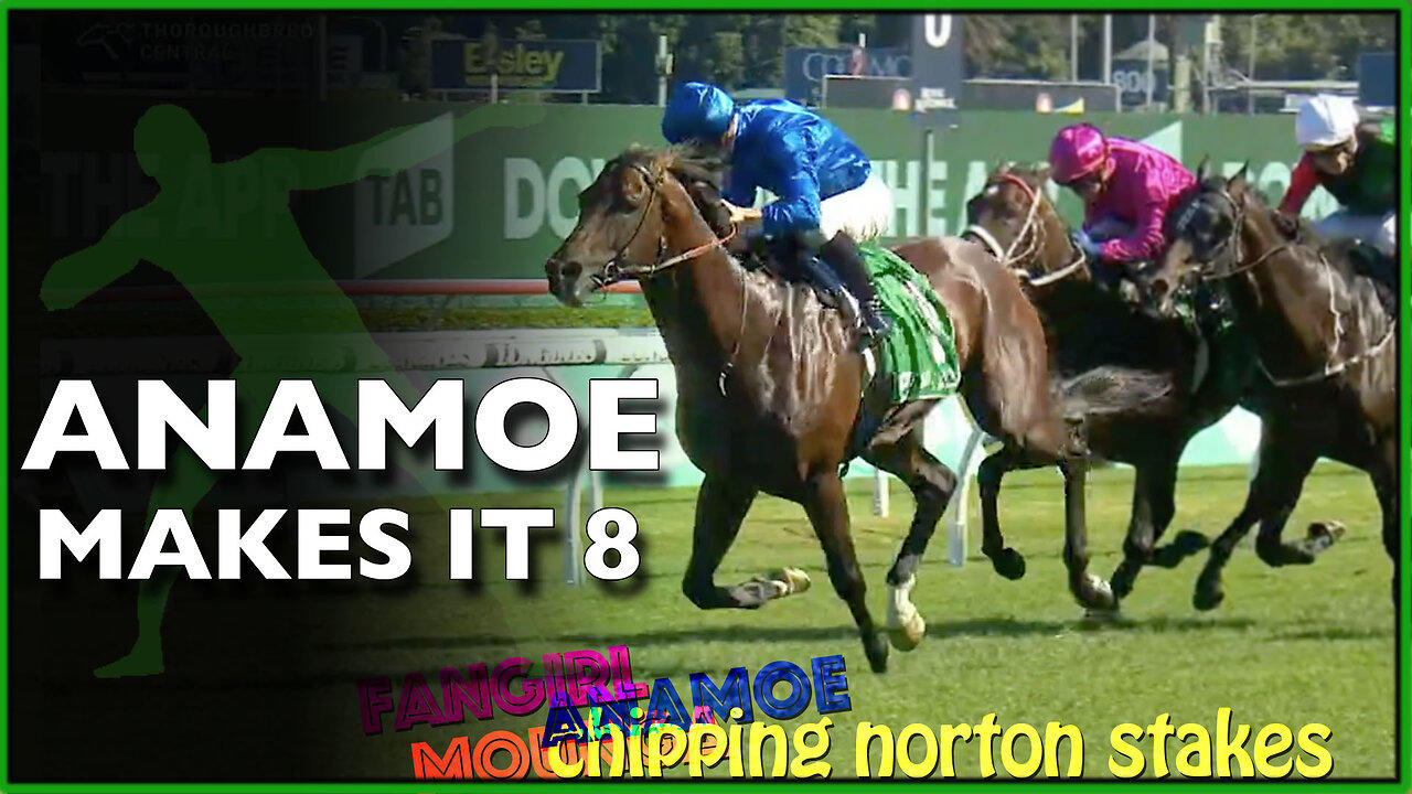 2023 Chipping Norton Stakes | Anamoe, Hinged, El Bodegon