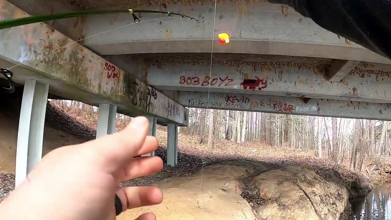 Cork POPPING in the Creek For Slab CRAPPIE One News Page VIDEO