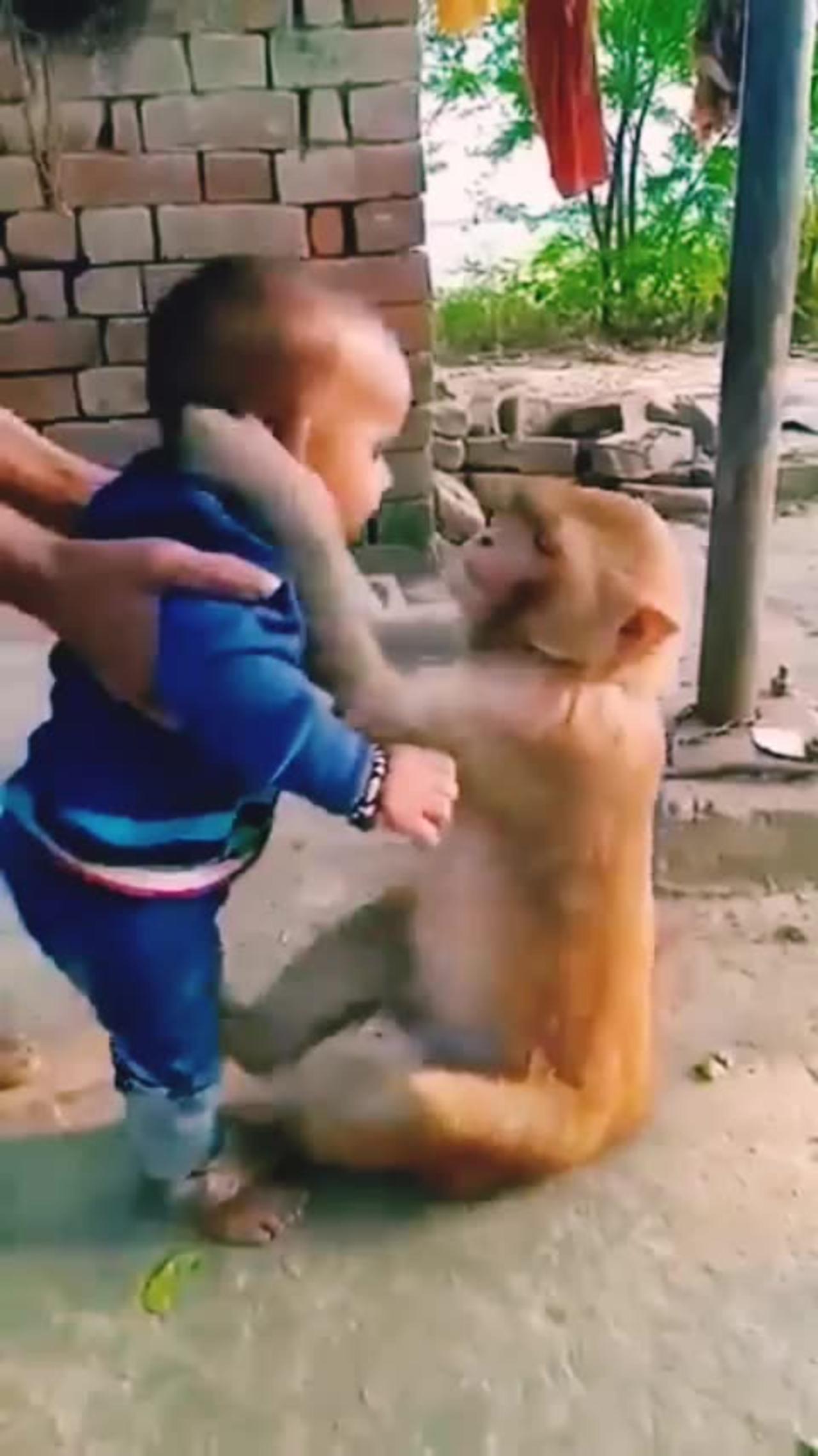 Monkey loves baby