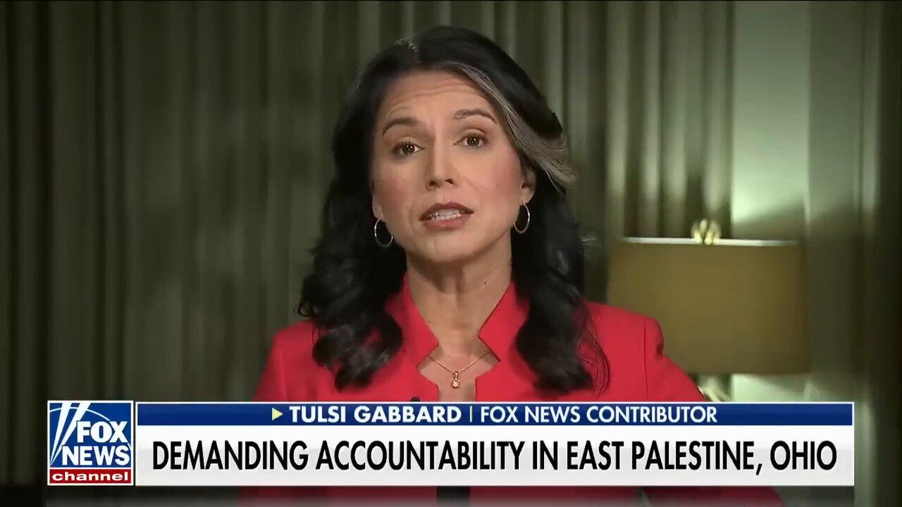 Tulsi Gabbard: Biden doesn't care about these Americans