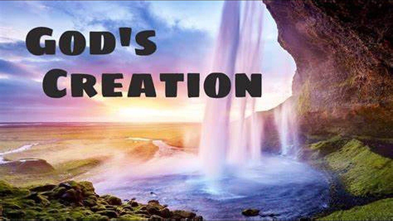 GOD'S CREATION>>> Sample of my - One News Page VIDEO