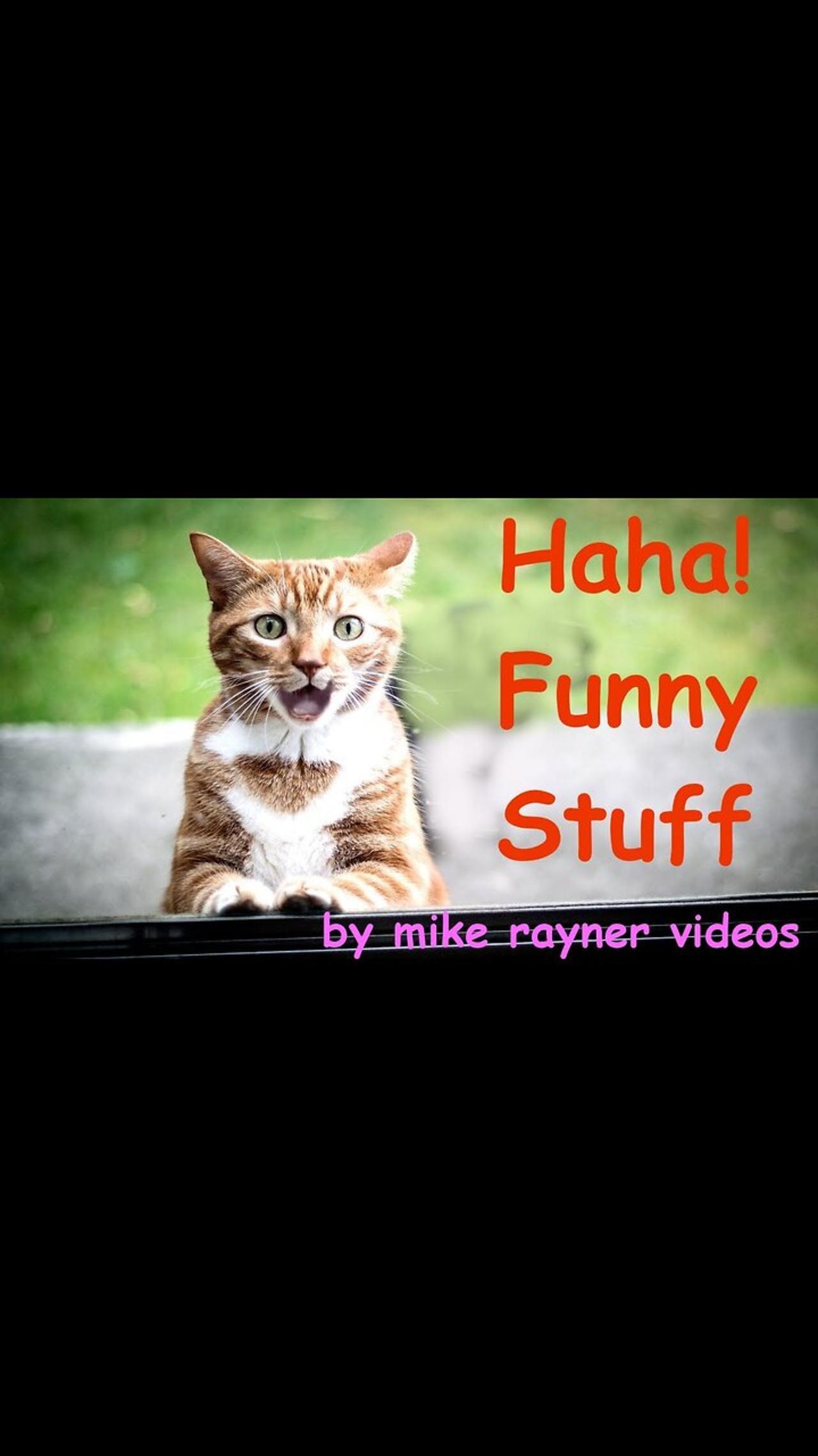 Cute and Funny Animal Video😂-- Funniest Viral Puppy Cat clips😹-- #shorts video #cats