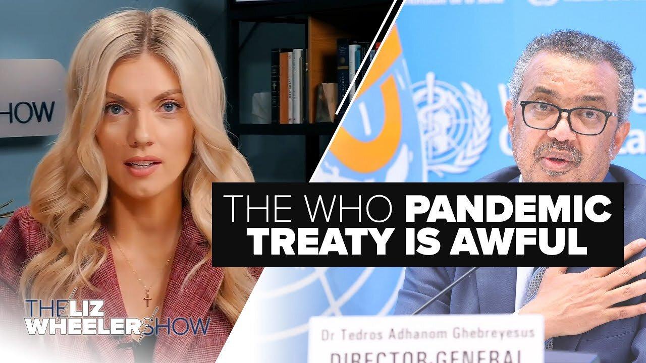 Liz Wheeler Pandemic treaty  (already agreed lockdowns & pandemics occur with or without)