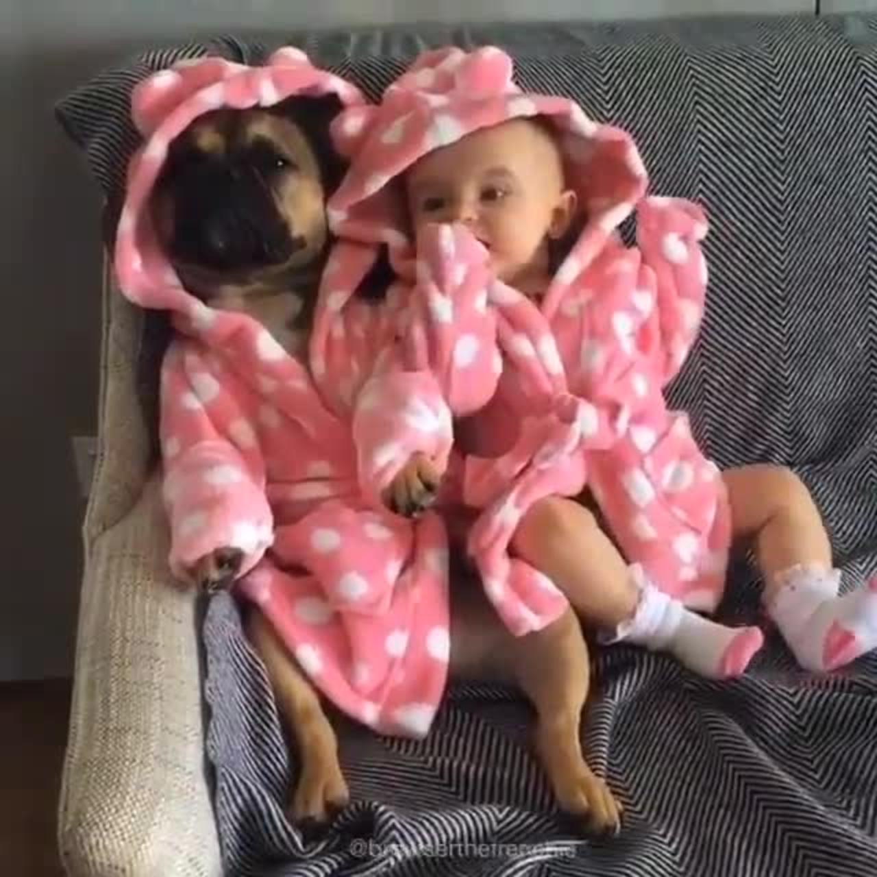 Cute baby dress up with dog