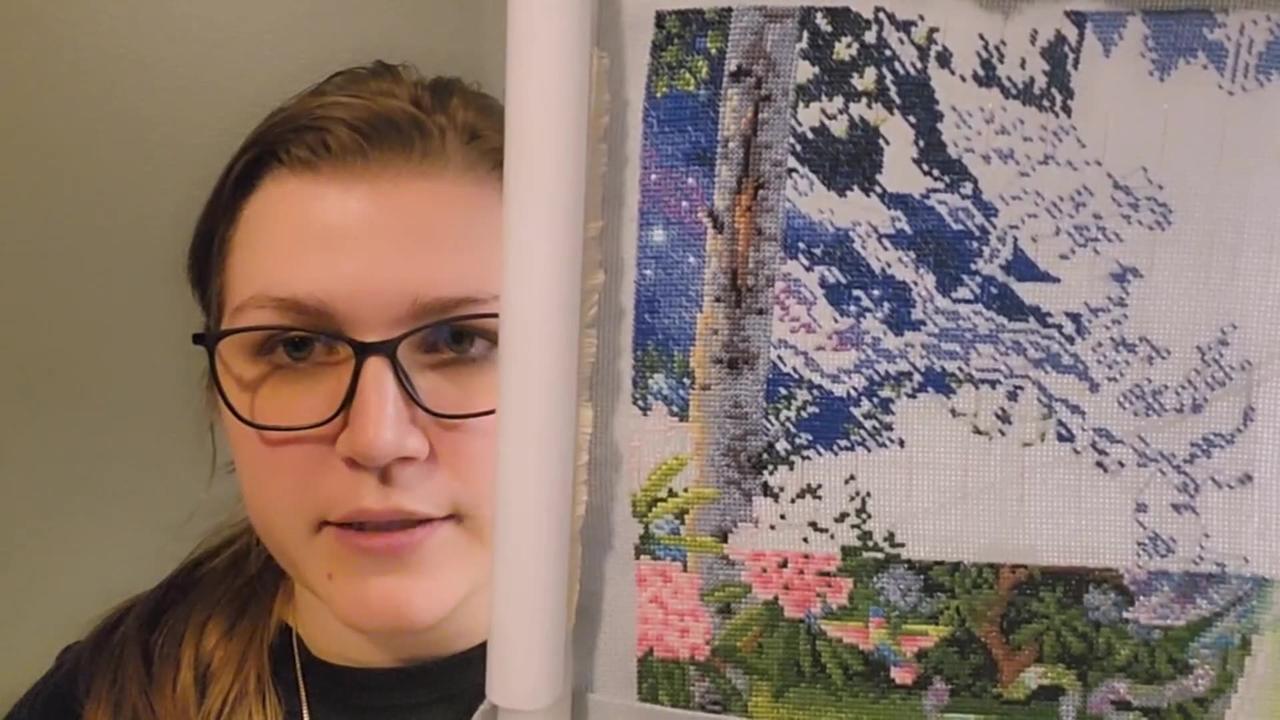 Flosstube 9 2 Week Update One News Page Video