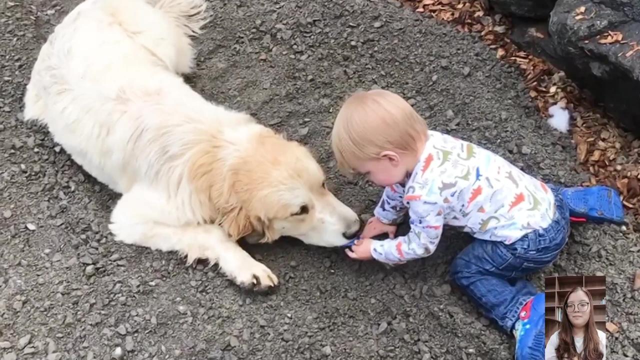 Adorable Babies Playing With Dogs Compilation - Funny Baby And Dog Videos || Just Laugh