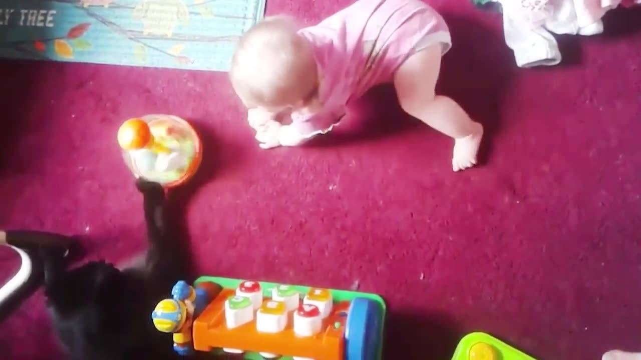 Babies and dogs and cats another baby cat and dog funny