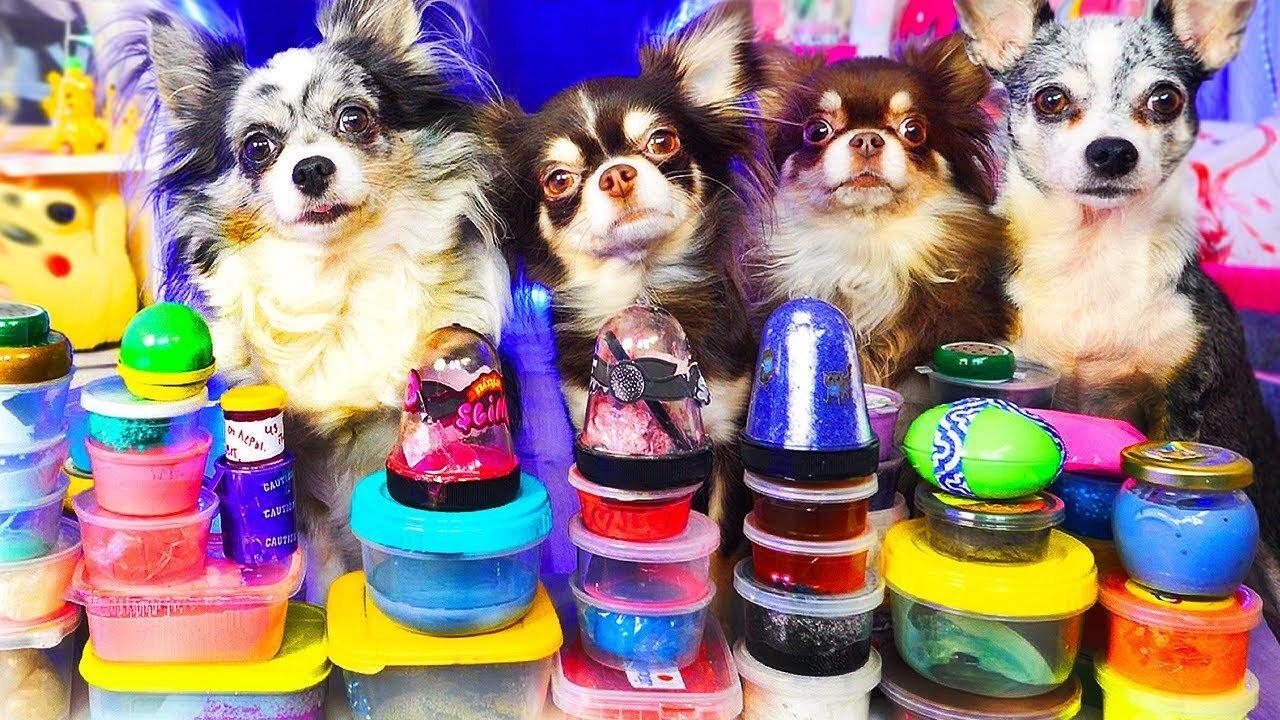 1000 ANTI-STRESS SLIMES VS. MAGIC PETS! SICK VS HEALTHY LICKS CHALLANGE