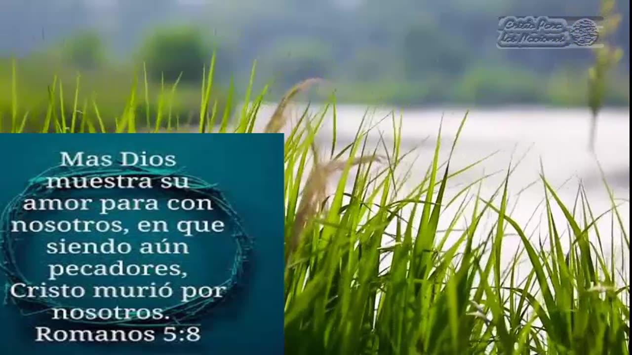 Mas Dios Muestra Su Amor Para Con Nosotros En One News Page Video Mas Dios Muestra Su Amor Para Con Nosotros En One News Page Video
