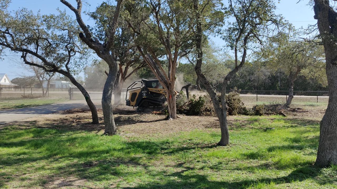 After the ice storm, February 2023, Central Texas cleanup with a forestry head. pt 2