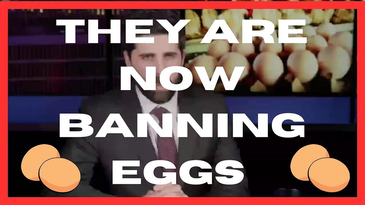 They Are Now Banning Eggs - The Assassins of the New World Order  1  0