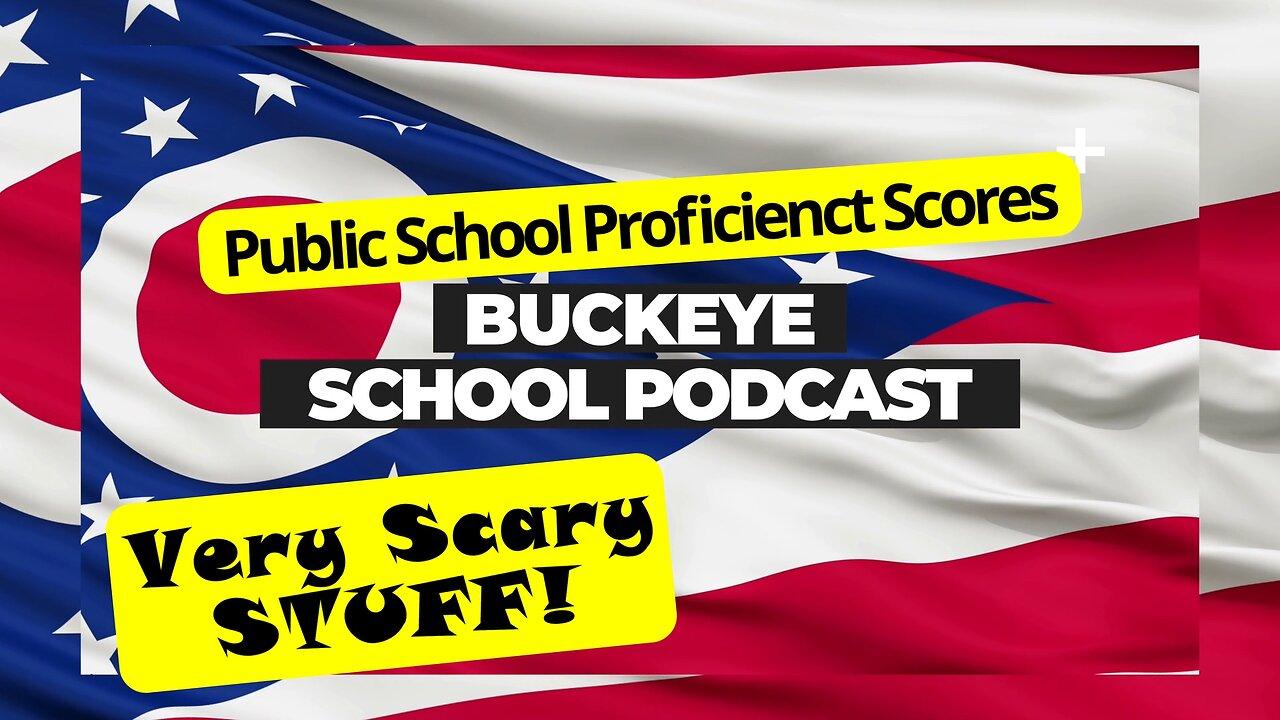 Public School Proficiency Test Scores, Very Scary Stuff!:  Buckeye School Podcast 17
