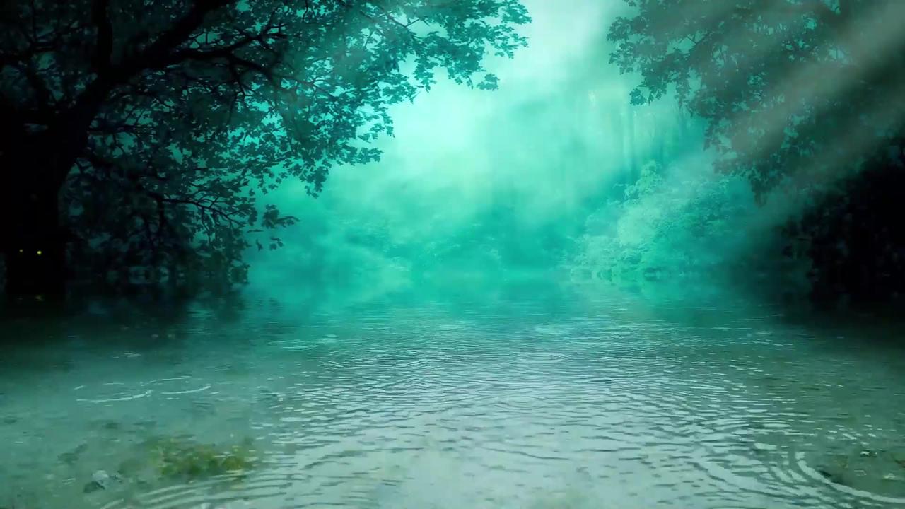 Calming Forest sounds for Deep Sleep, Insomnia, Stress Relief & Study Aid,