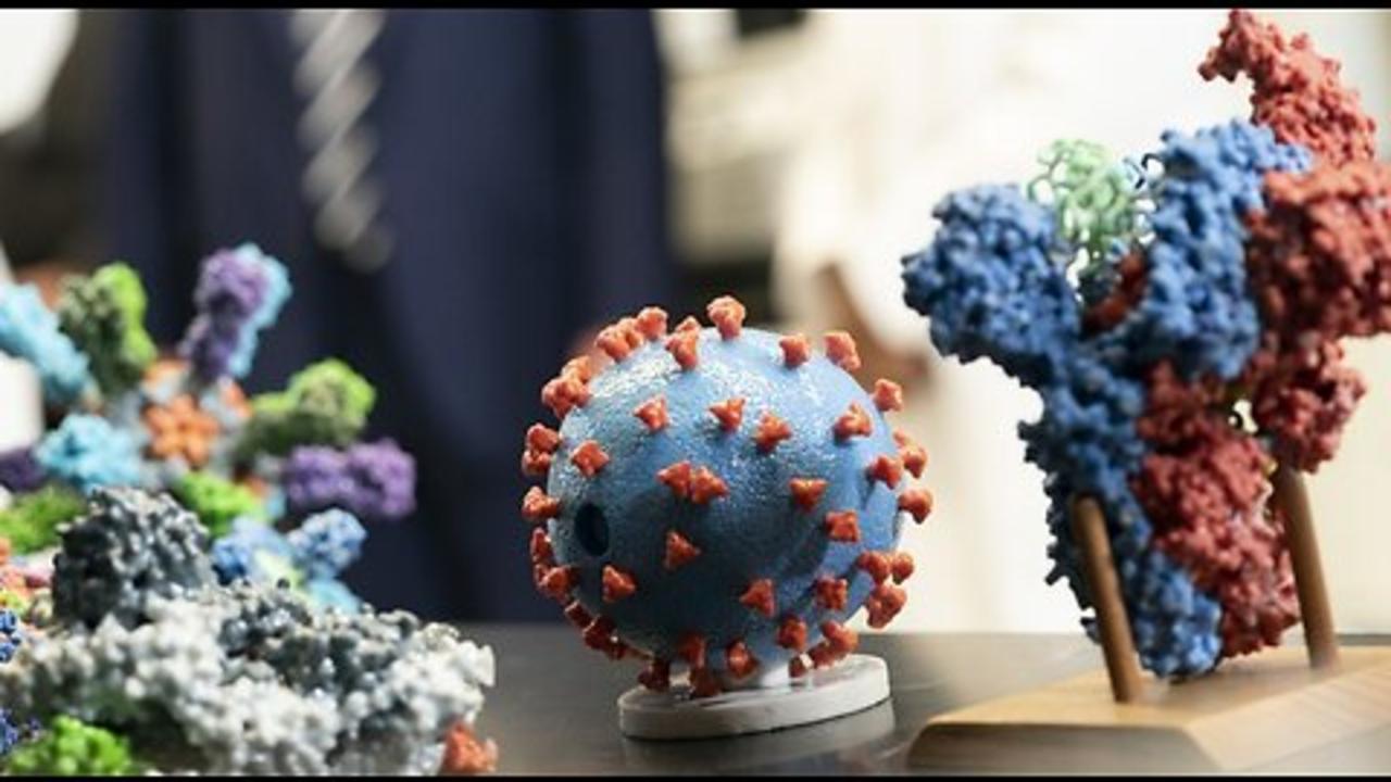 China Claims They've Been 'Open and Transparent' Regarding Wuhan Coronavirus Origins