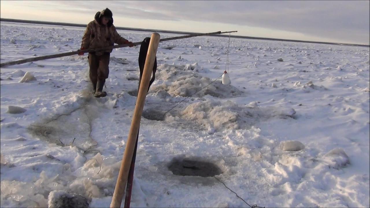 Setting a Under Ice Net with yukonjeff