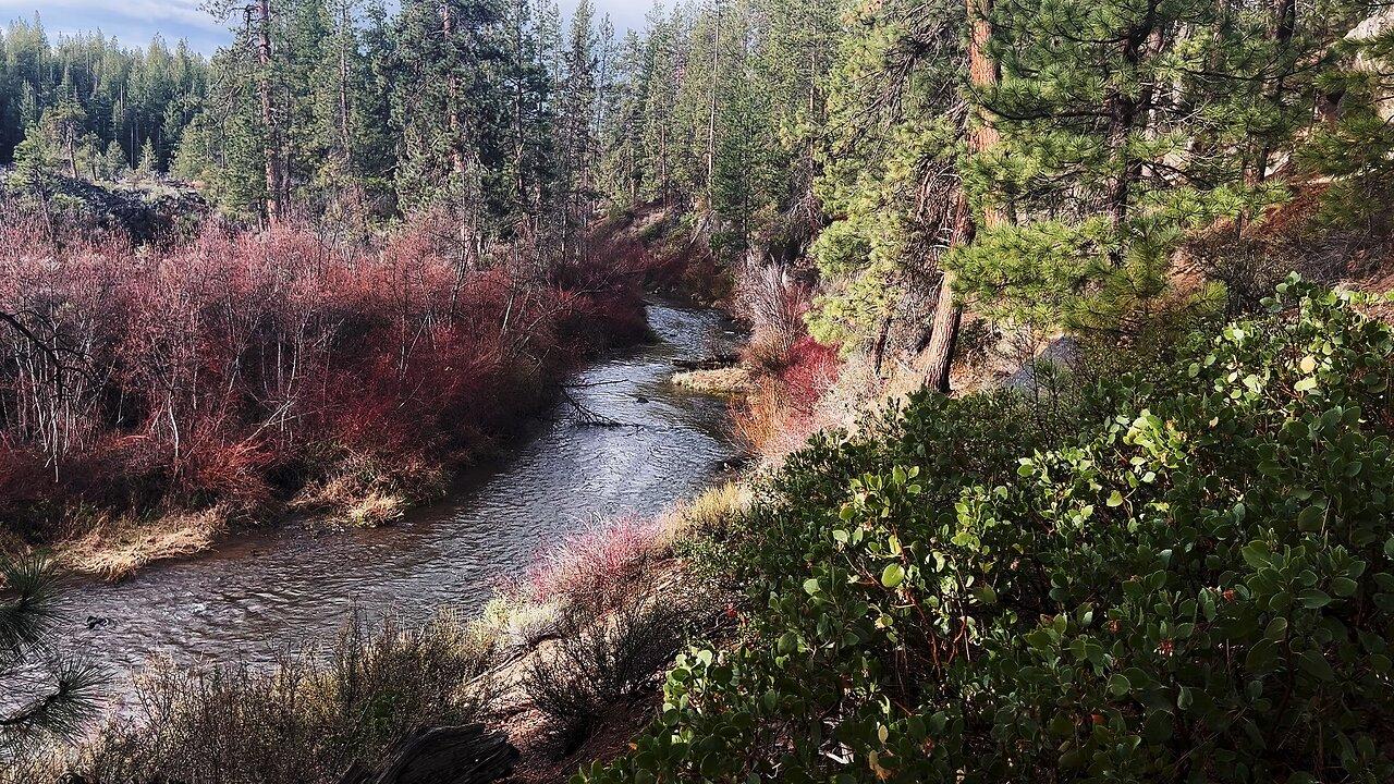 GORGEOUS & MAGICAL Hiking Overlooking EPIC Deschutes River in Central Oregon 4K!