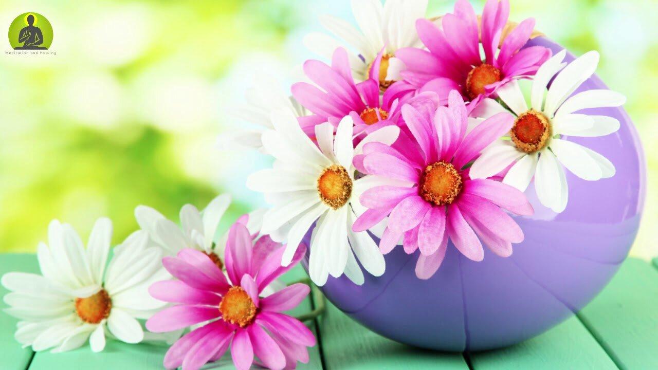 "Release Stress, Anxiety & Fear" Anti Depression Meditation Music, Healing Music, Relax Mind Body
