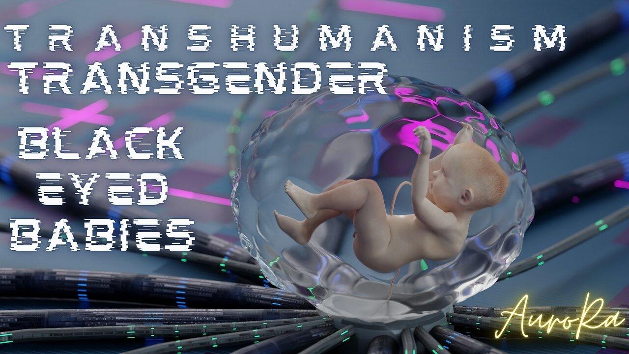 Transhumanism | Black Eyed Babies | Transgender Pt 3
