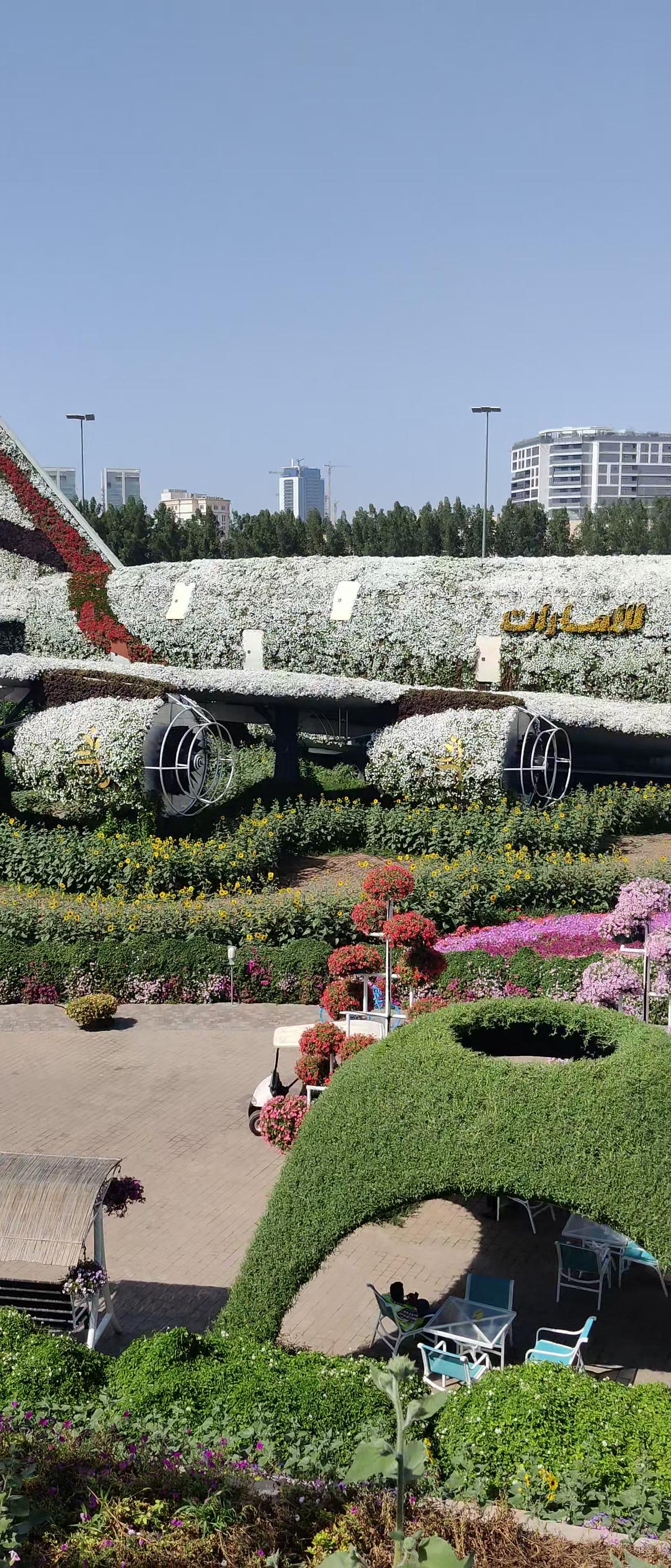 Miracle garden Emirates dubai