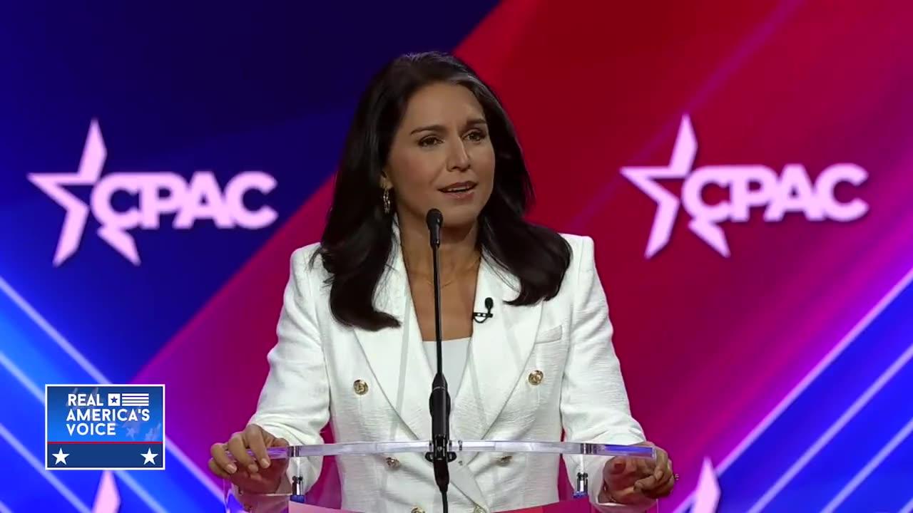 Tulsi Gabbard speaks on Democratic Party's “hatred” of the Second Amendment
