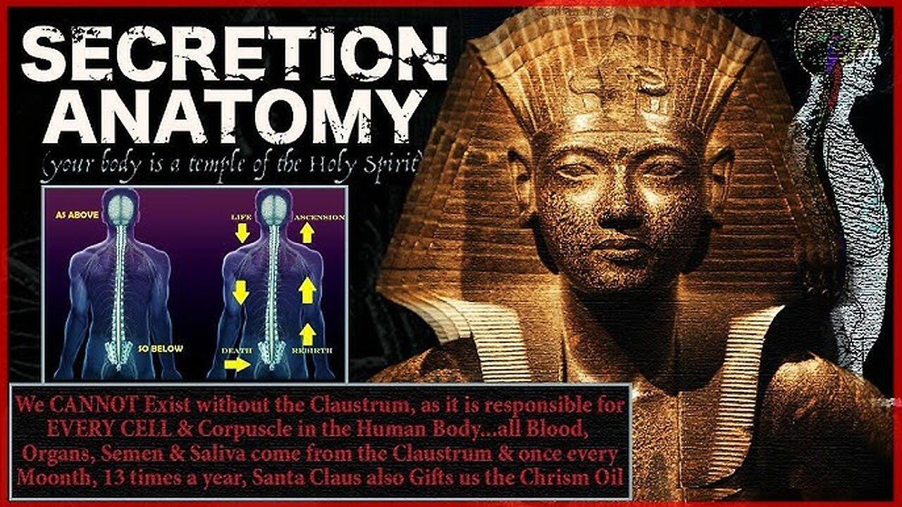 Anatomy Of The "Sacred Secretion" | The Christ Oil