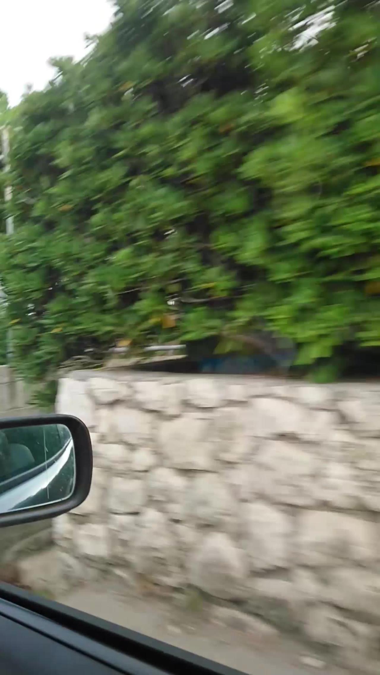 Driving in Krk Island Croatia with a BMW 520i Touring engine M52TU
