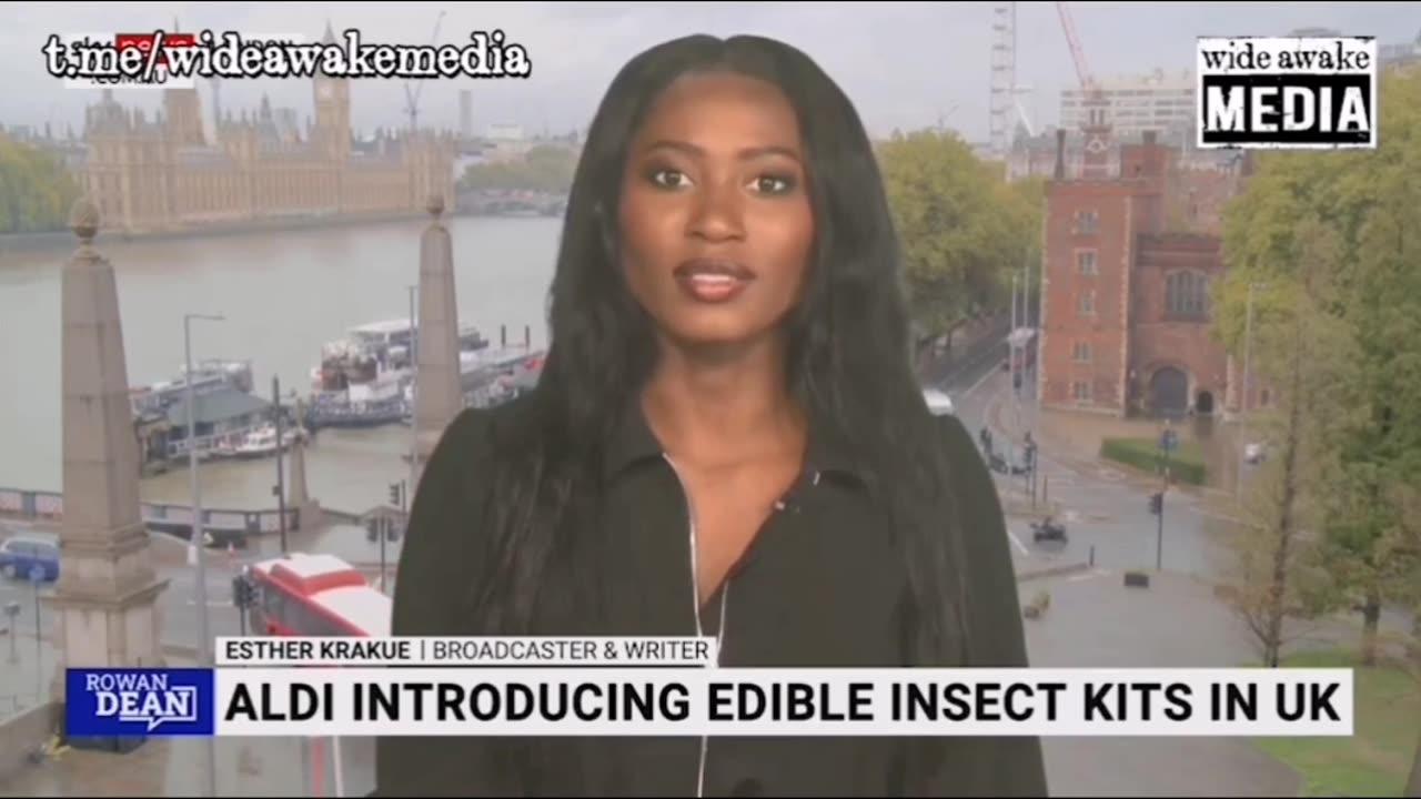 ALDI Introducing Edible Insect Kits In UK One News Page VIDEO