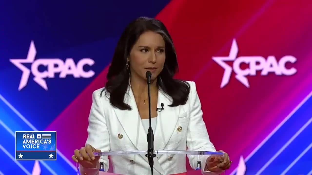 Tulsi Gabbard: Democrat Party Pose a Serious Threat To Our Freedoms!