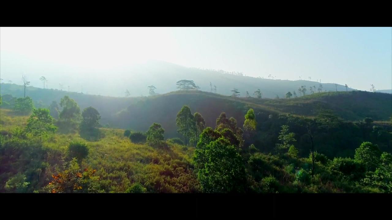 Amazing Nature Scenery Sunrise  Sunrise video  Drone Footage  Free HD Video - no copyright