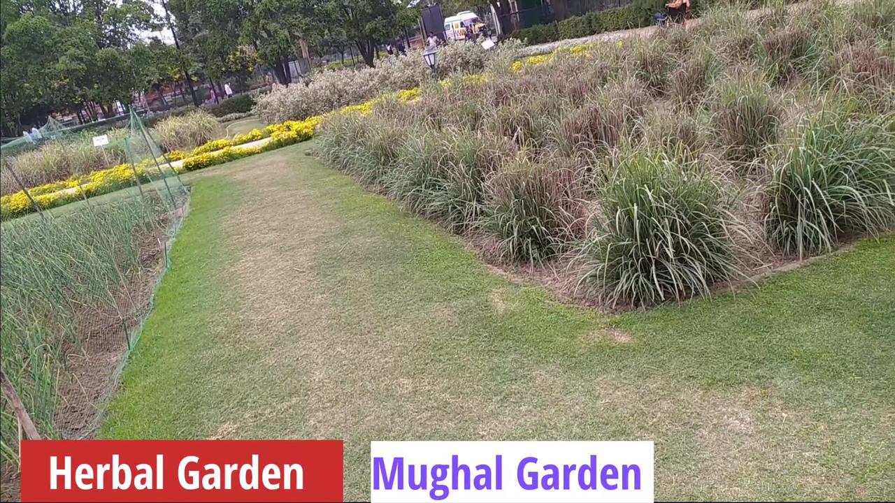 Herbal Garden  | Mughal Garden | Amrit Udyan