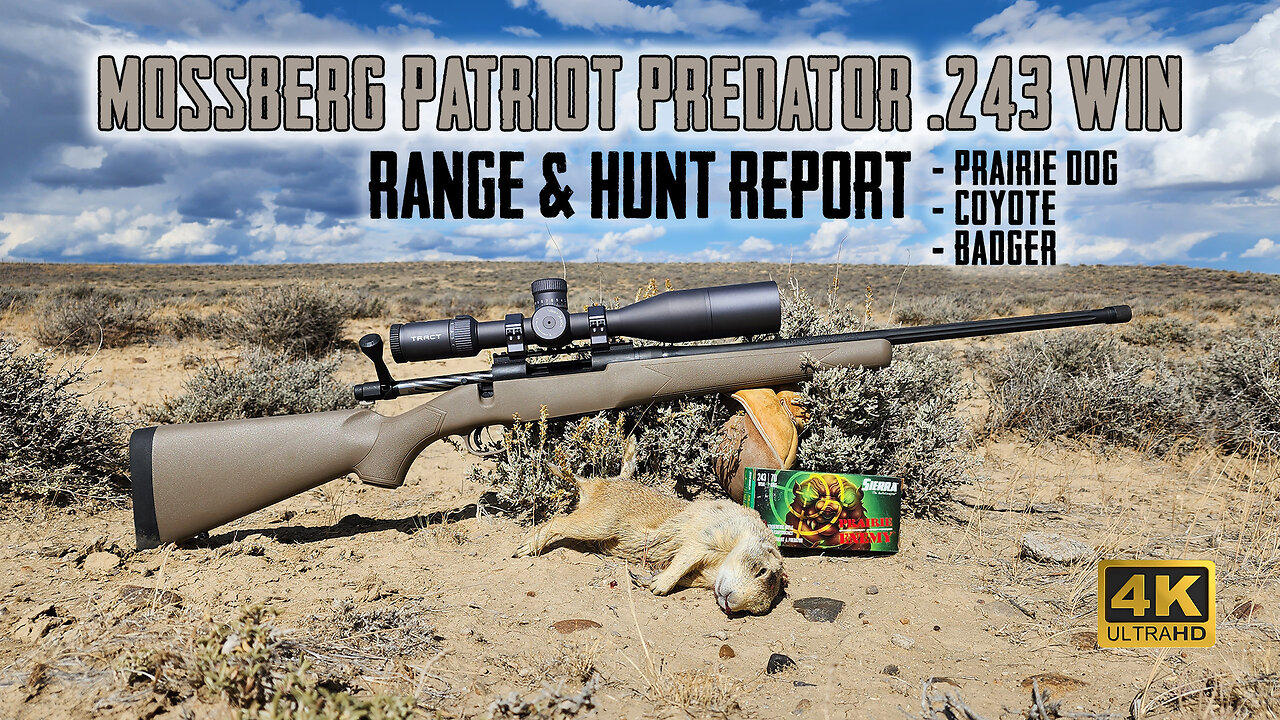 Mossberg Patriot Predator .243 Win - Full Overview Range Test with Prairie Dog & Coyote Hunt in 4K