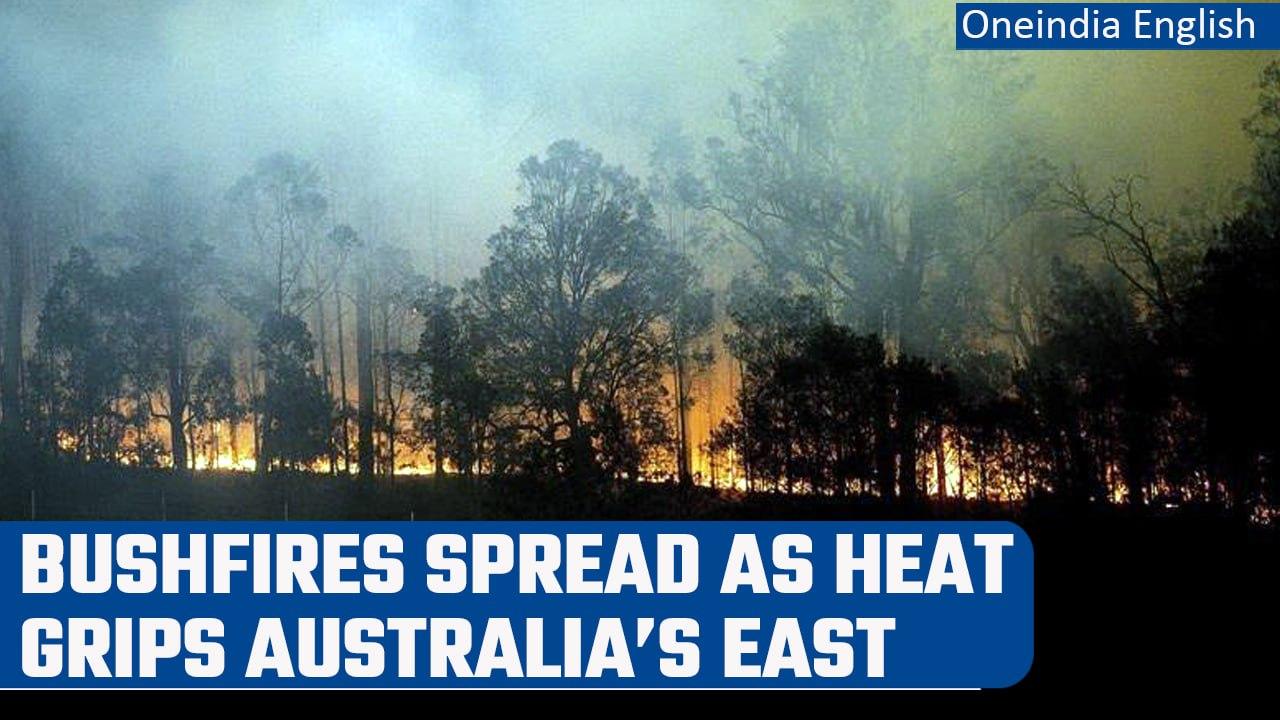 Australia: Dozens of bushfires spread as heat grips country’s East | Oneindia News