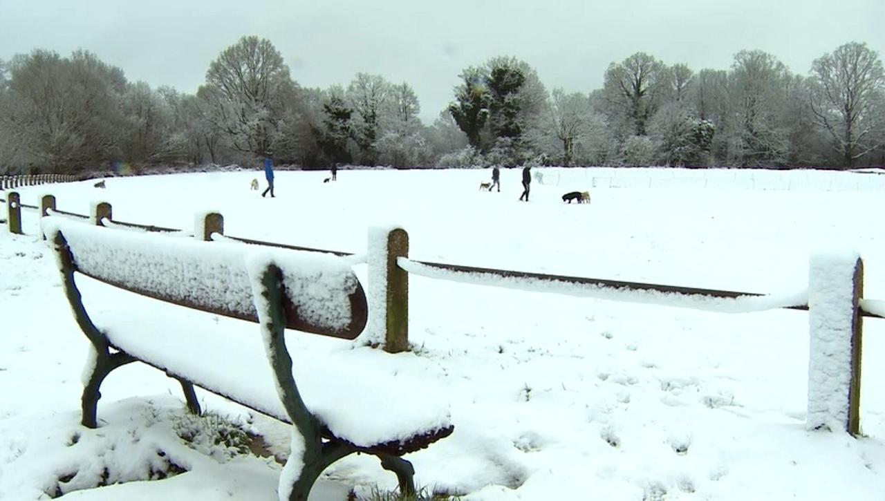 Snow falls across the UK as temperatures plumet