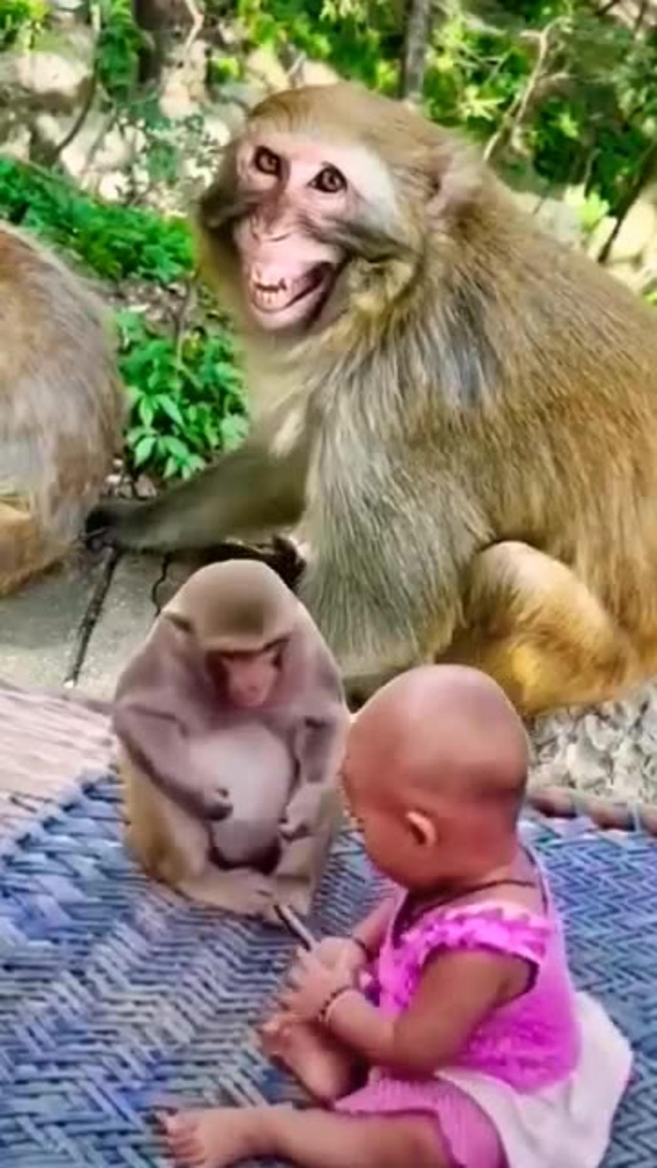 monkey taking phone from baby child