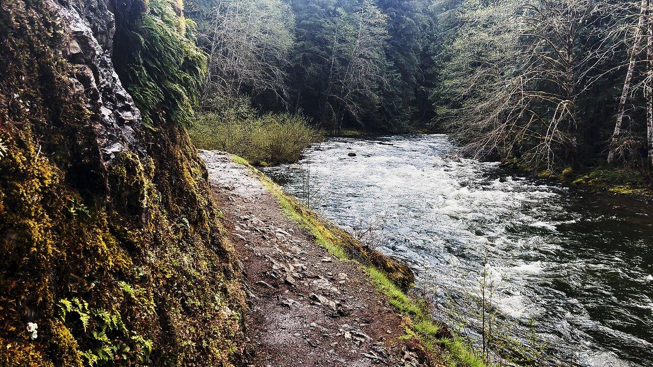 EXPLORING THE EPIC Salmon River & Rainforest Wilderness Shoreline in Mount Hood Area of Oregon 4K!