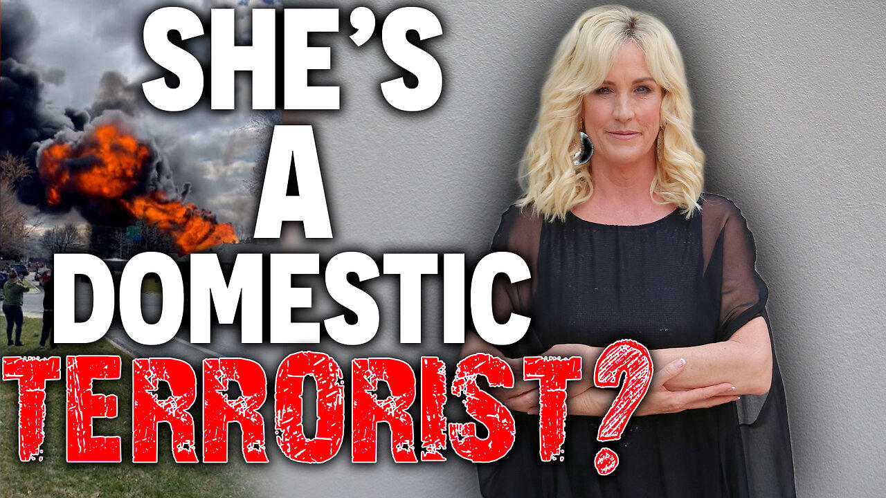 SHE'S A DOMESTIC Terrorist? • Erin Brockovich