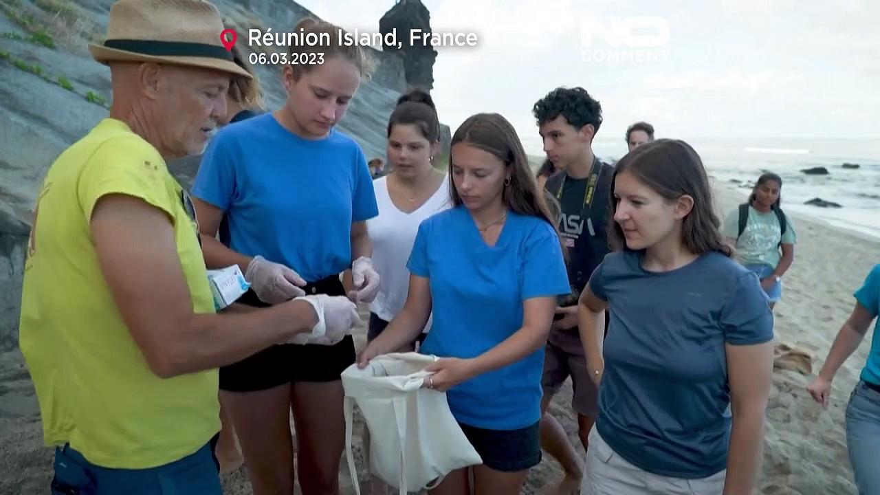 Watch: French islanders rejoice as 30-year-old turtle 'Emma' overcomes injury to lay eggs