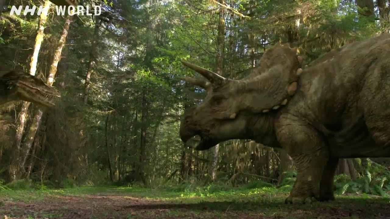 Tyrannosaurus vs Triceratops - DINOSAURS