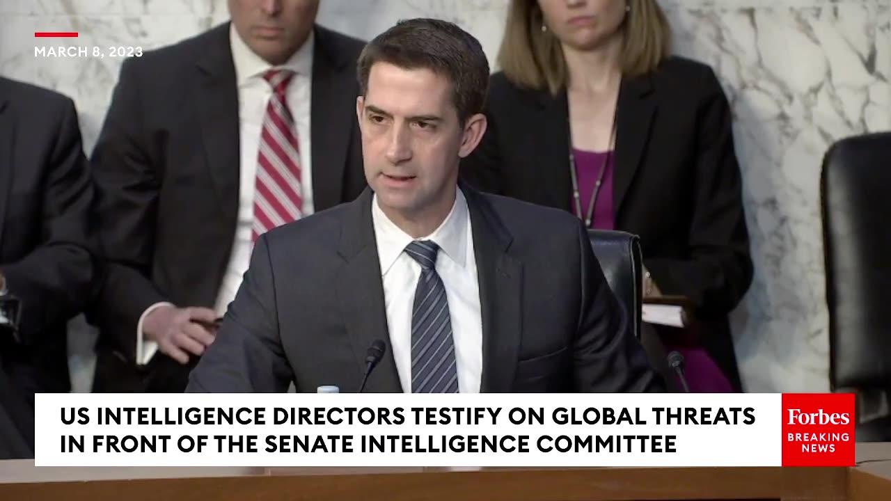 'Did Anything Else Happen In The World In 2020-'- Tom Cotton Confronts DNI Avril Haines Over Iran