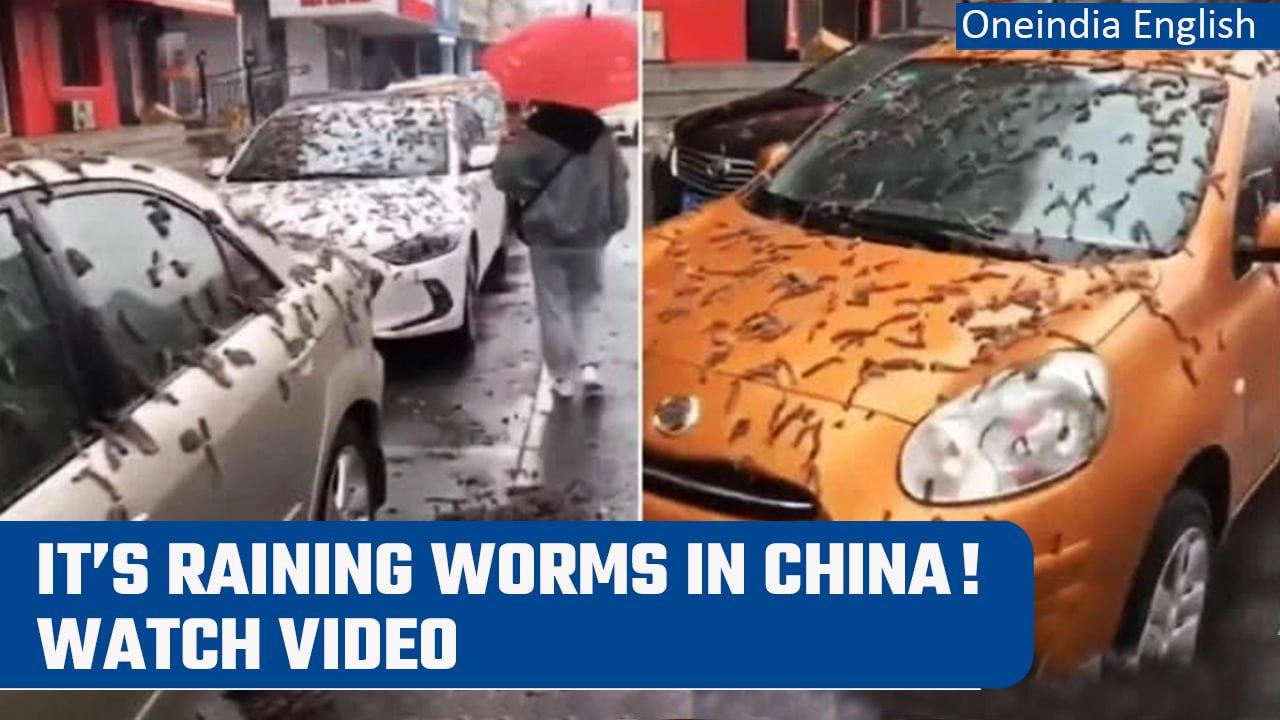 Beijing Flooded By ‘Rain Of Worms’; Residents Asked To Carry Umbrellas | Viral Video | Oneindia News