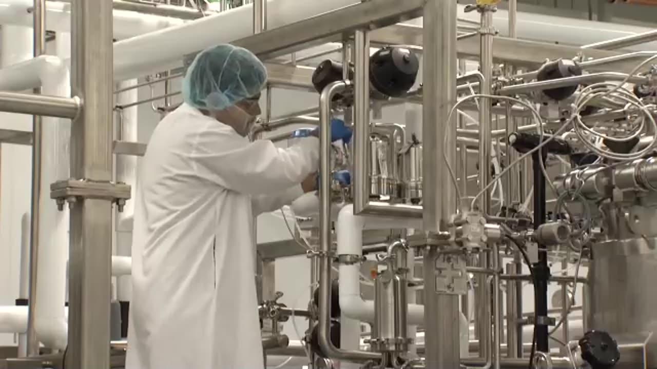 Labgrown meat will hit US restaurants in 2023 One News Page VIDEO