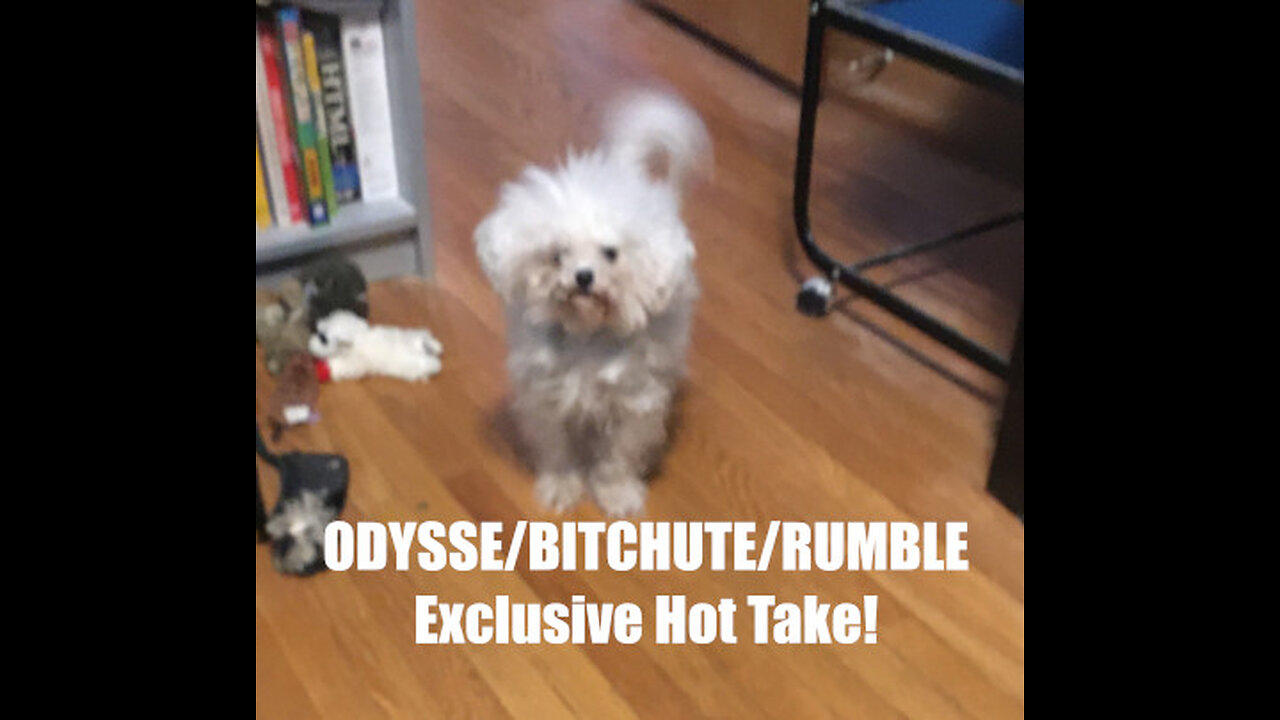 Rumble/Odysee/Bitchute Exclusive Hot Take: March 13th 2023 News Blast!
