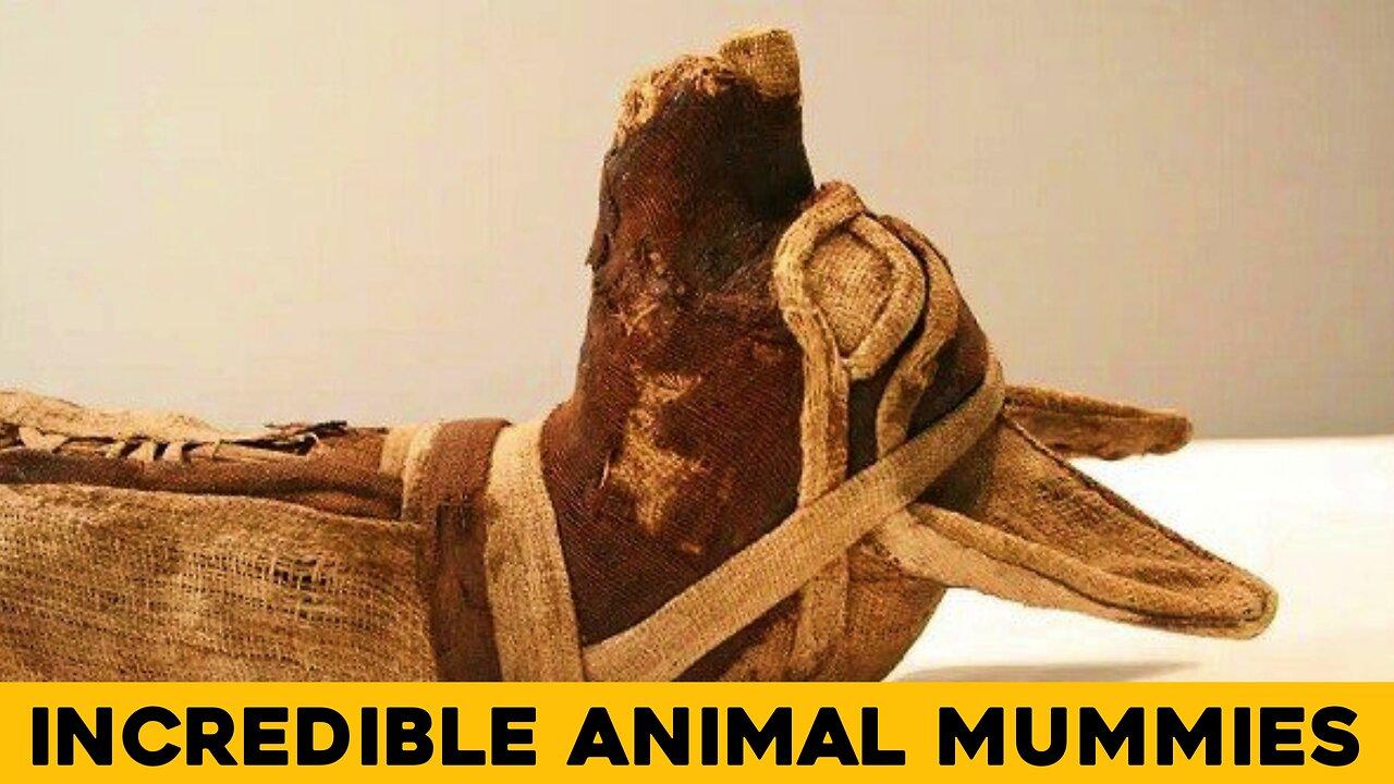 Most Incredible Mummies From Egypt