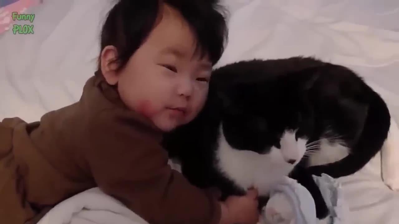 Funny Babies and Animals