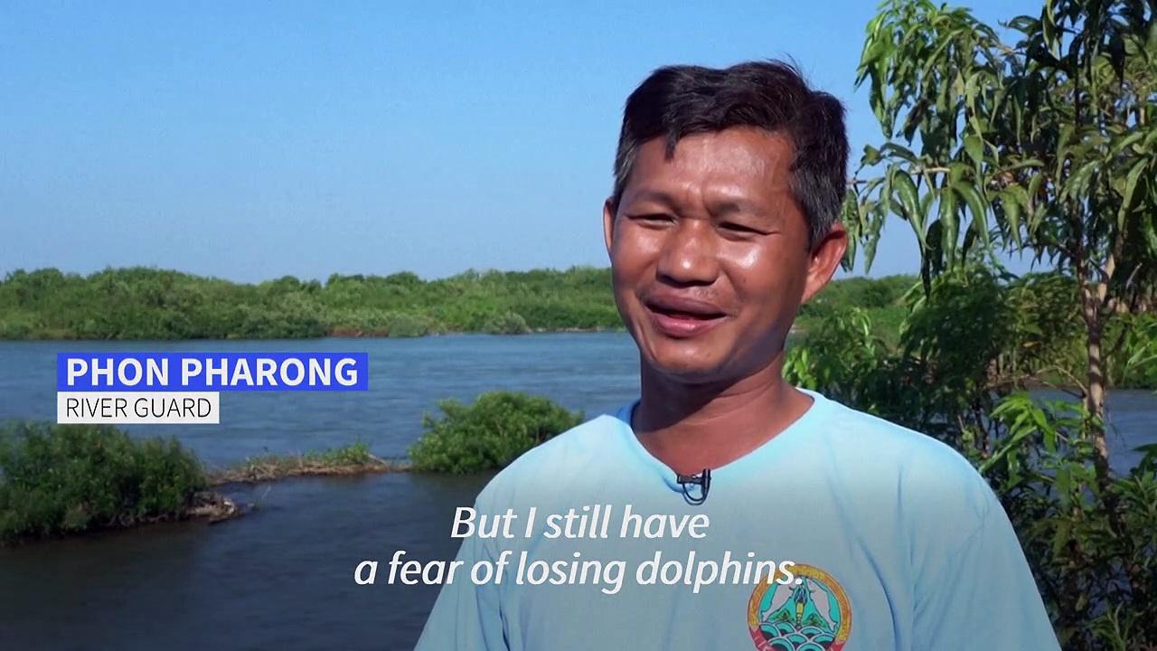 River guards battle to save Cambodia's freshwater dolphins from extinction
