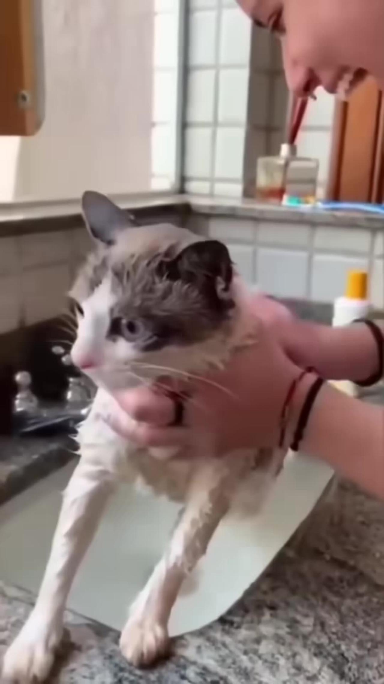 No! I Don't Want To Take Bath