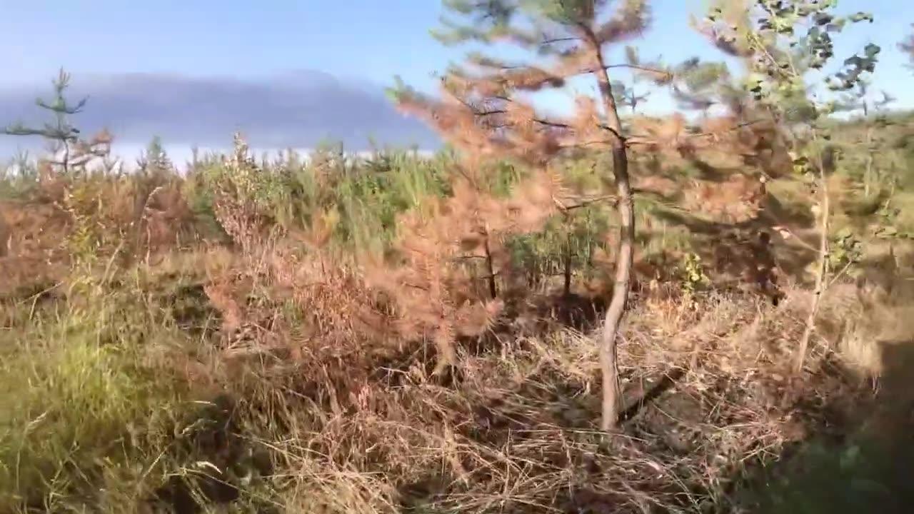 🔴 GoPro/Helmet war footage of mission in Balakliya, Ukraine - Firefights with Russia