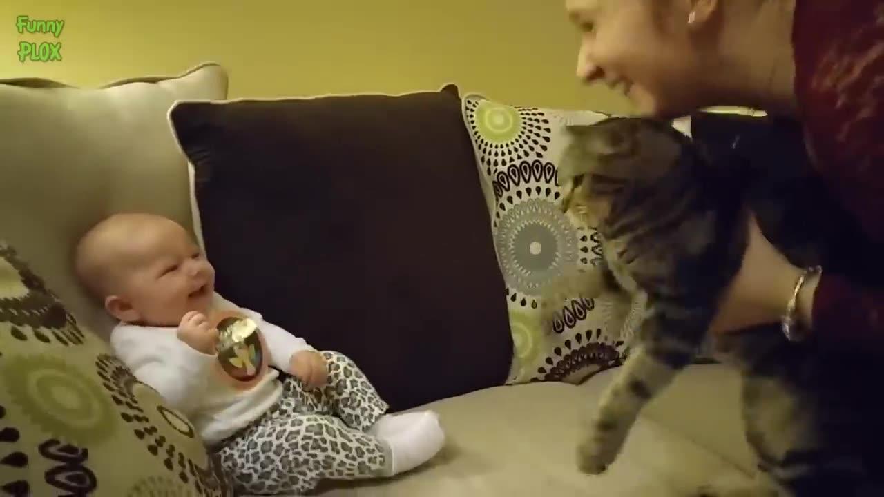 Funny Babies Laughing Hysterically at Cats