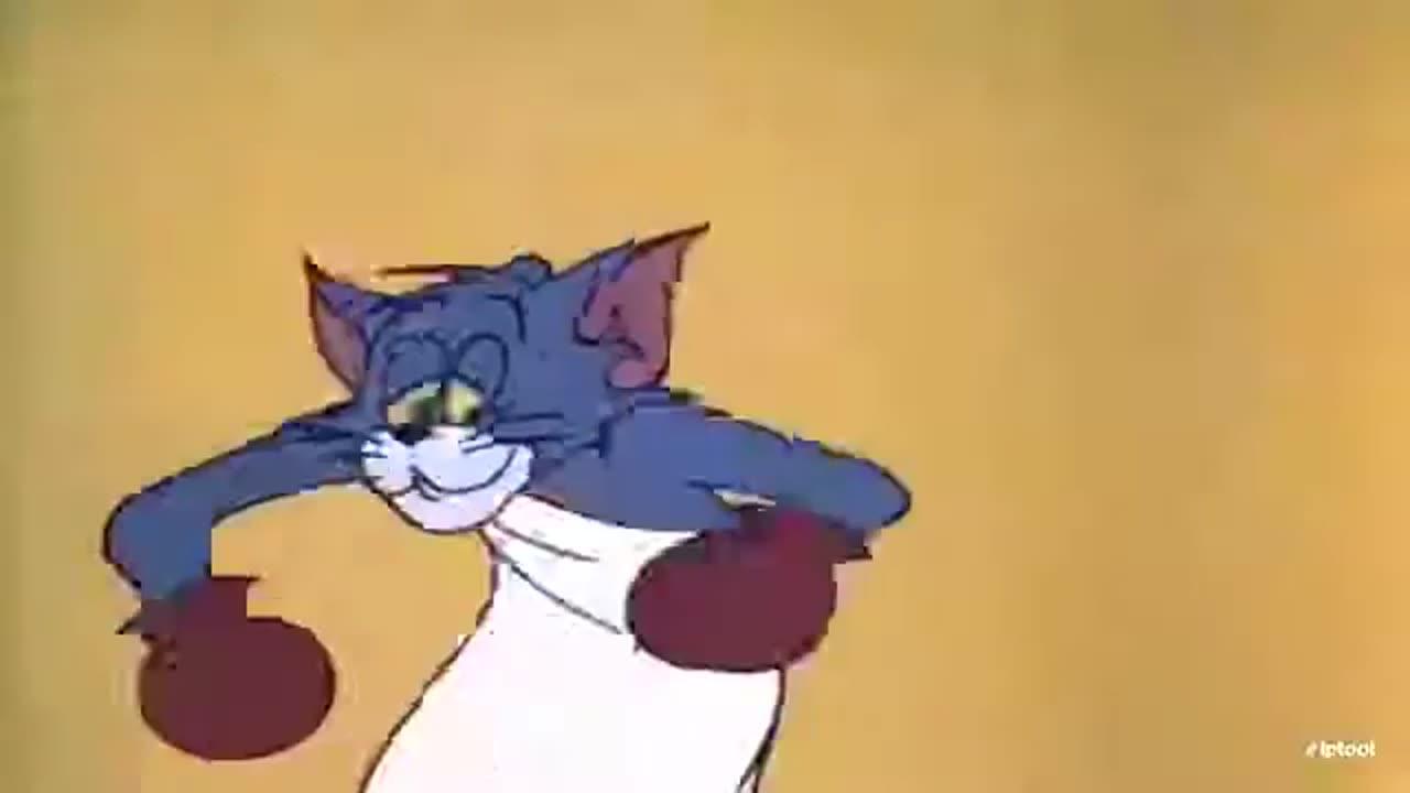 tom and jerry funny cartoon One News Page VIDEO