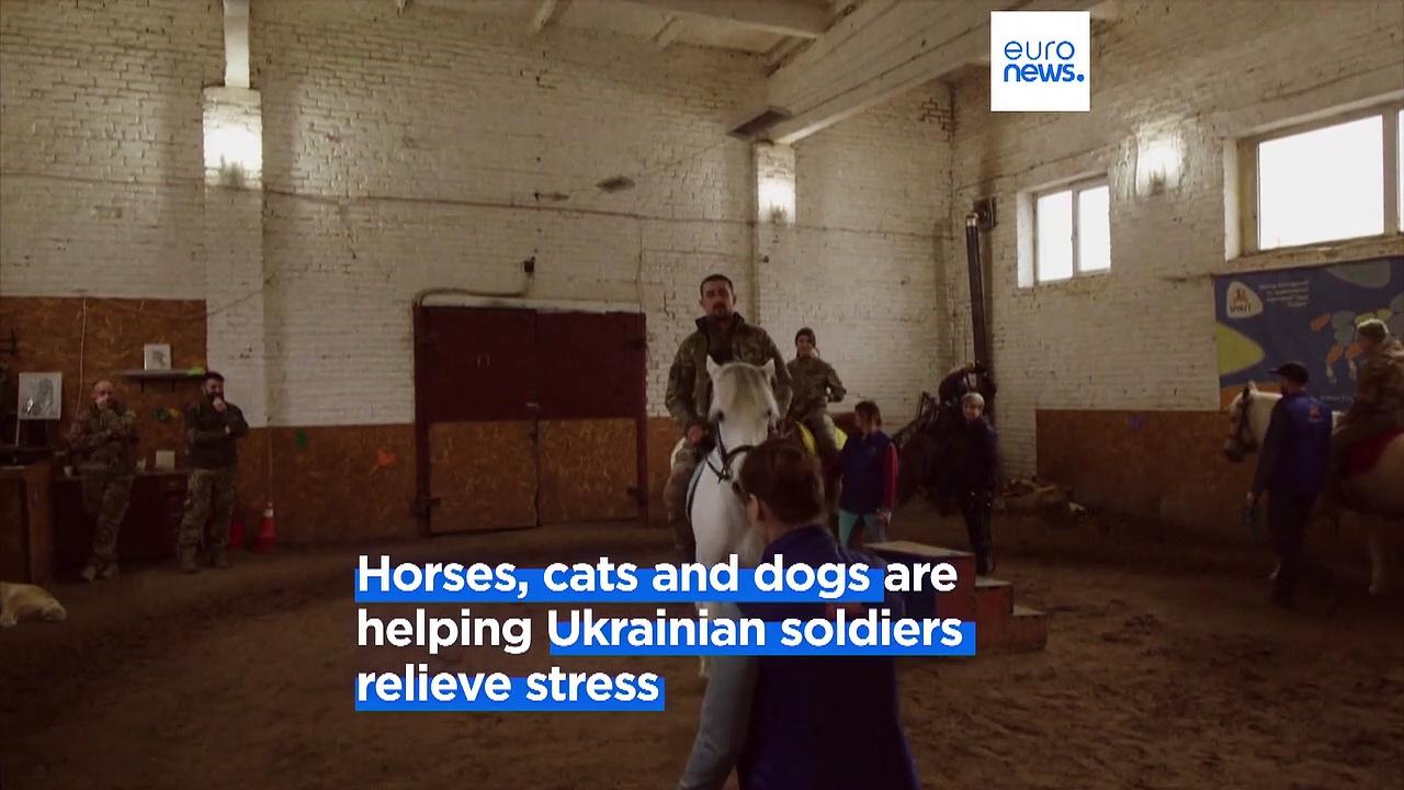 Ukrainian soldiers outside Kyiv destress with horse therapy